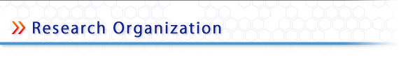 organizetion_title